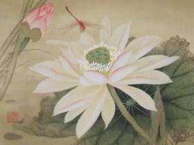 找小姐的时候有个声音跟我说:赶快念经