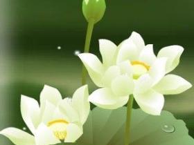 戒色三年的巨大变化