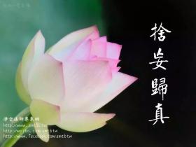 心病是恨气来的 恨人还会生什么病?