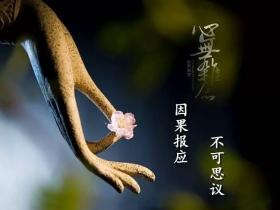 邪婬神经症的症状和案例