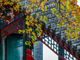 与美女三年相处坐怀不乱,最终考中状元